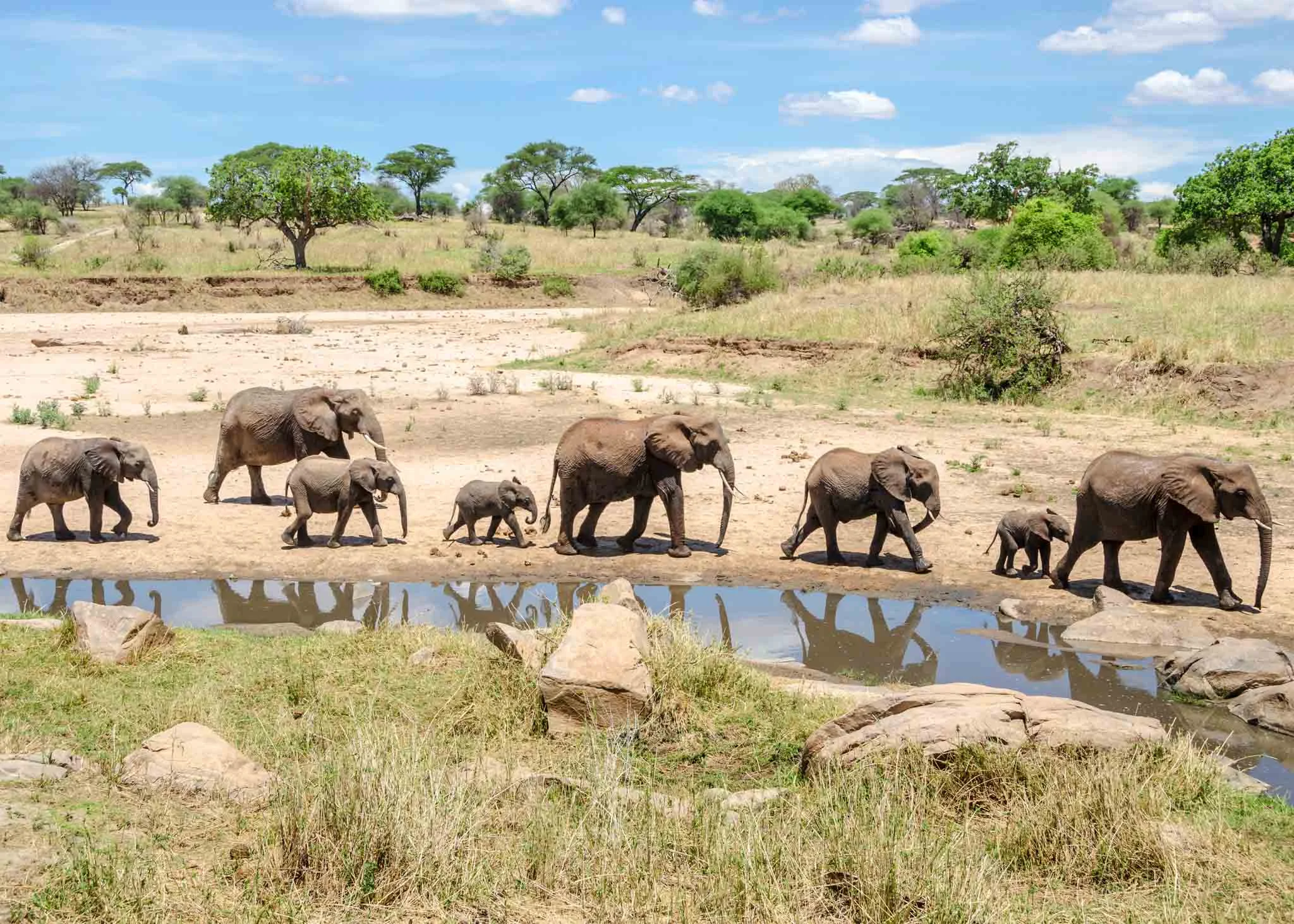 Day 1: Tarangire National Park