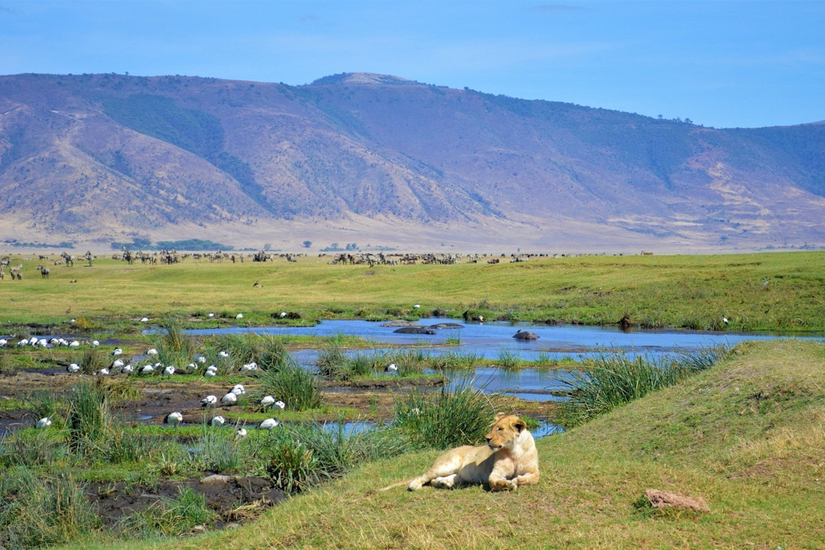 Day 5: Ngorongoro Crater