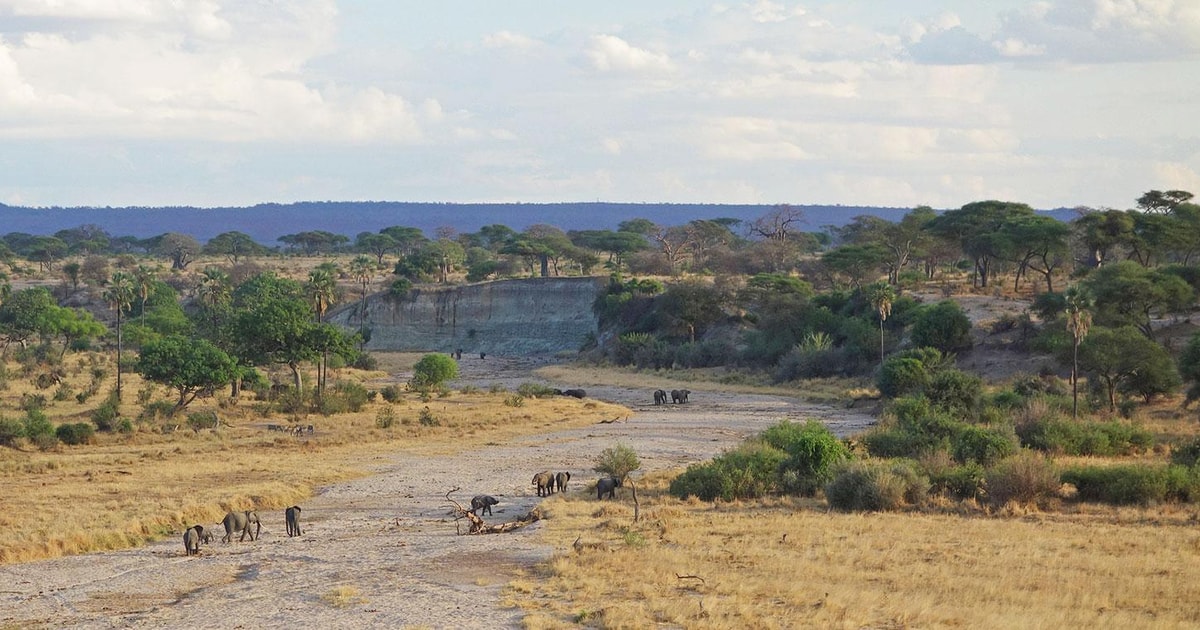 Day 2: Arusha to Tarangire National Park