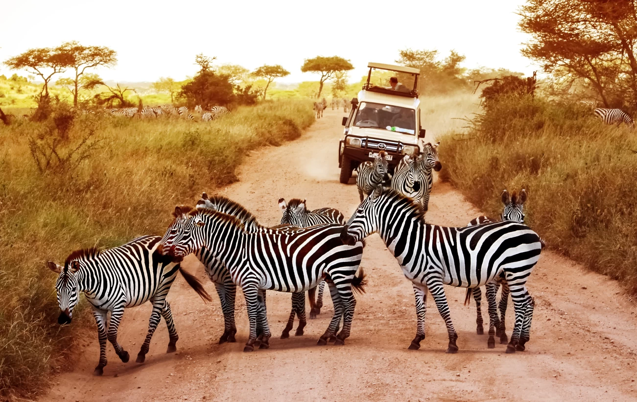 Day 3: Proceed to Serengeti National Park