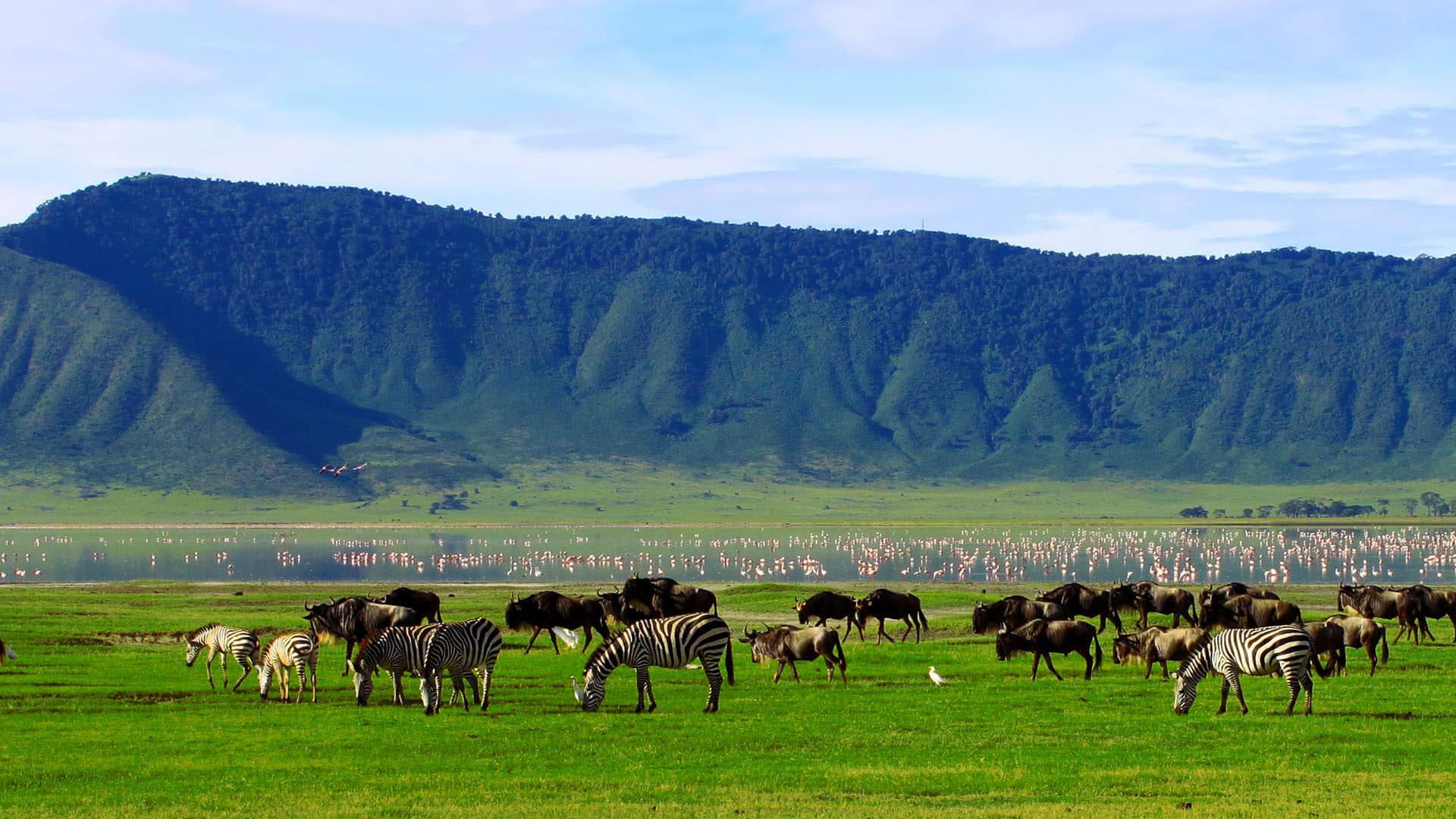 Day 7: Ndutu to Ngorongoro Crater
