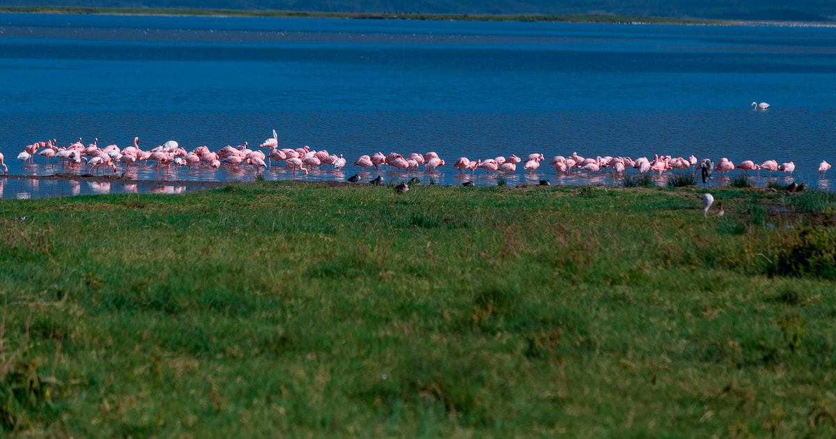 Day 8: Lake Manyara National Park to Arusha