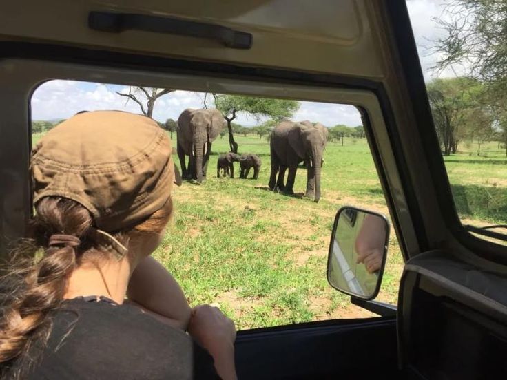 Day 1: Hotel Pickup, Transfer to Tarangire the Elephant Wonderland