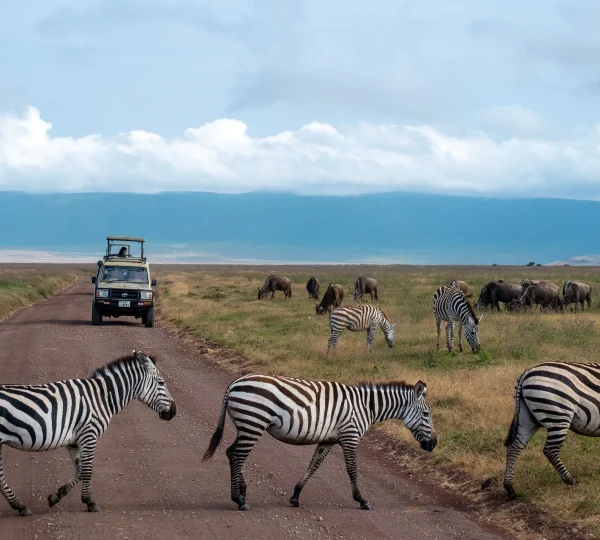 Day 6: Experience the Ngorongoro Crater