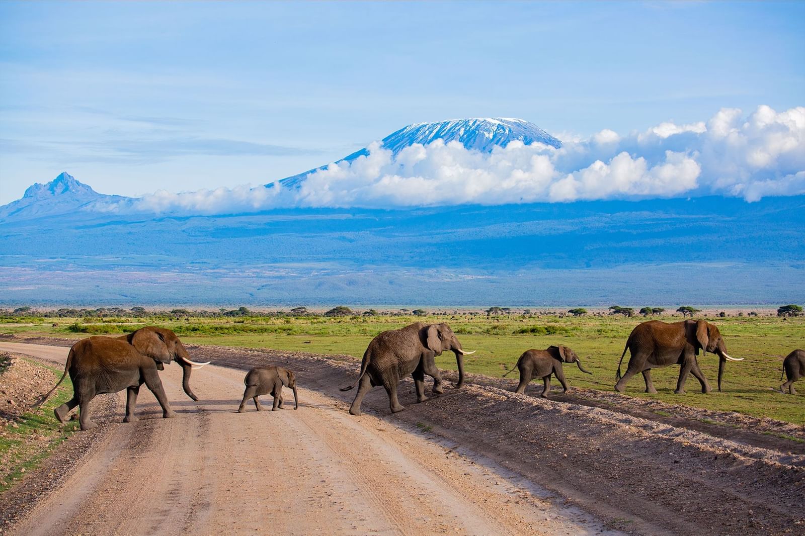 Day 5: Full Day Experience in Amboseli