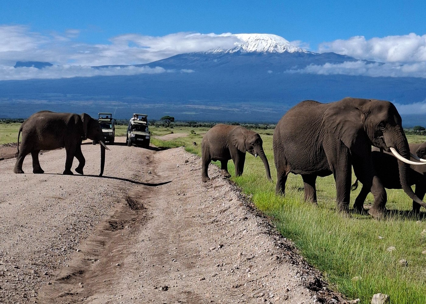 Day 6: Amboseli National Park to Nairobi