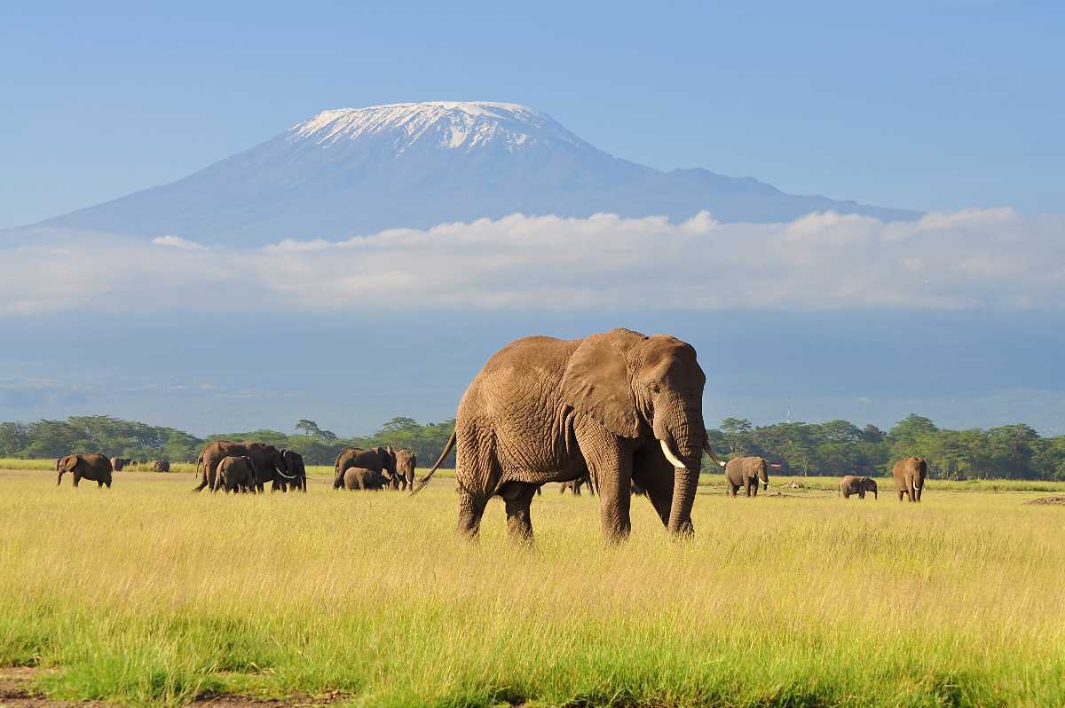 Day 1: Nairobi to Amboseli National Park