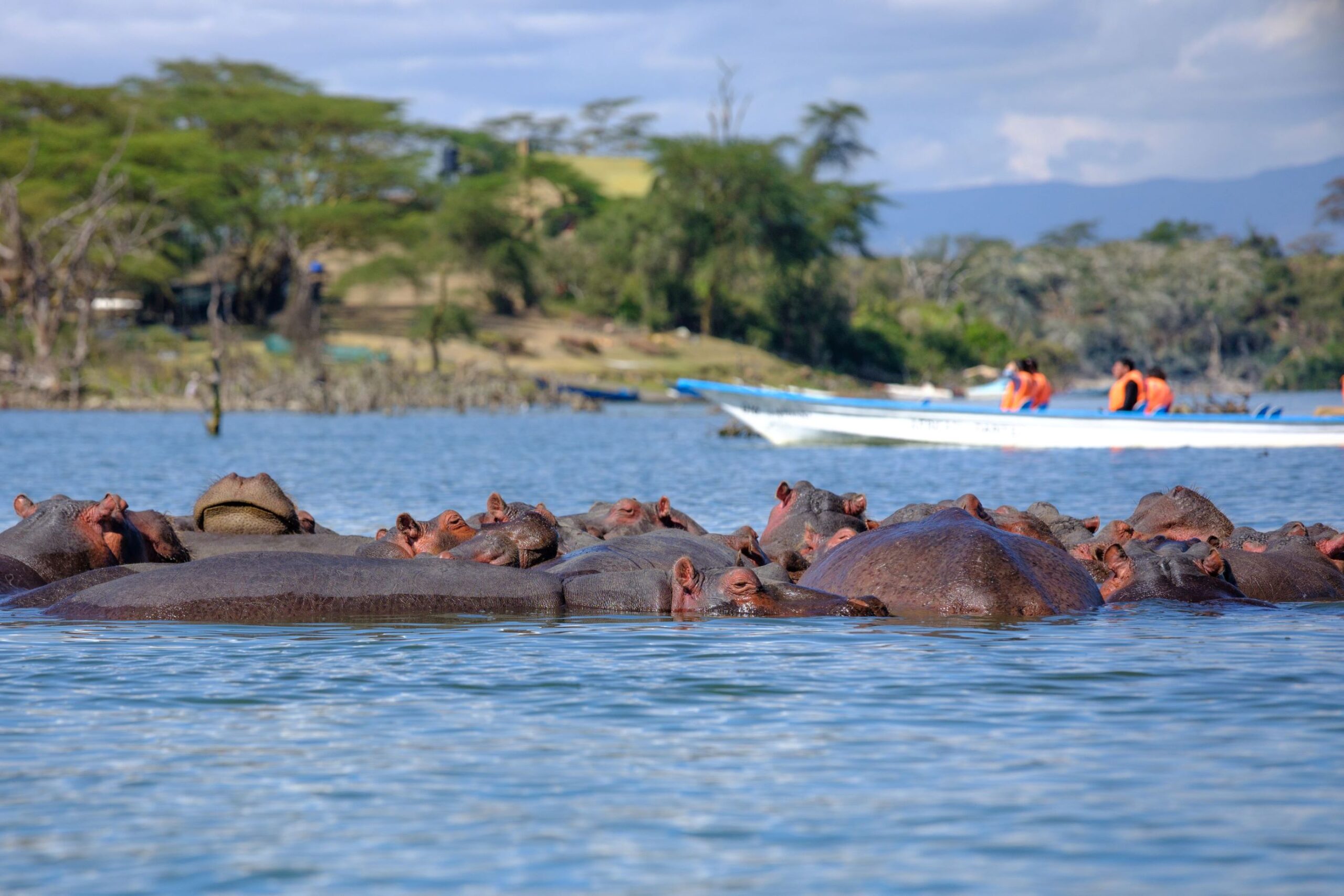 Day 3:Lake Naivasha to Masai Mara National Reserve