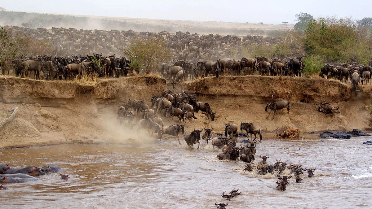 Day 5: Masai Mara to Nairobi