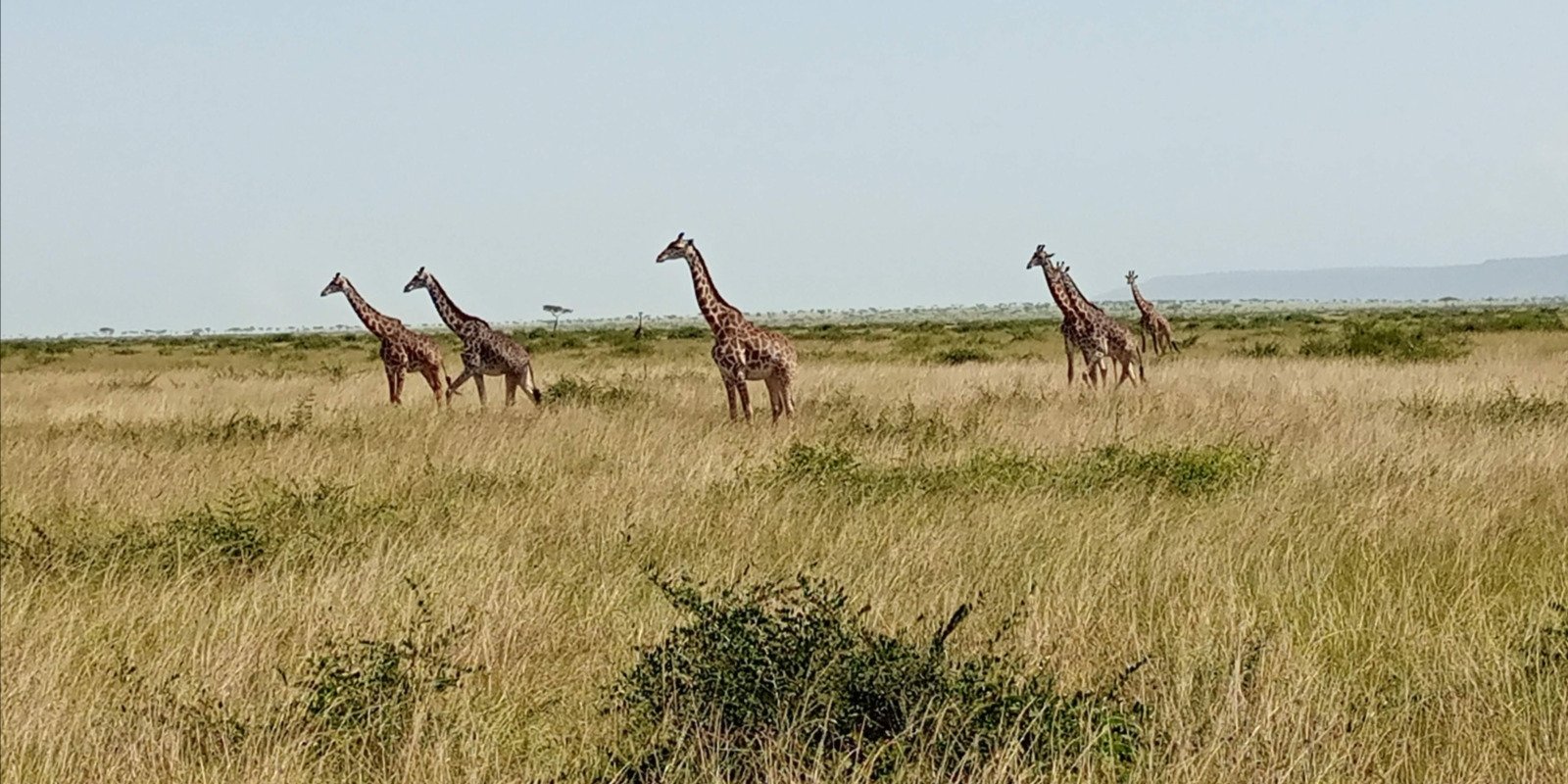 Day 1: Nairobi to Masai Mara National Reserve