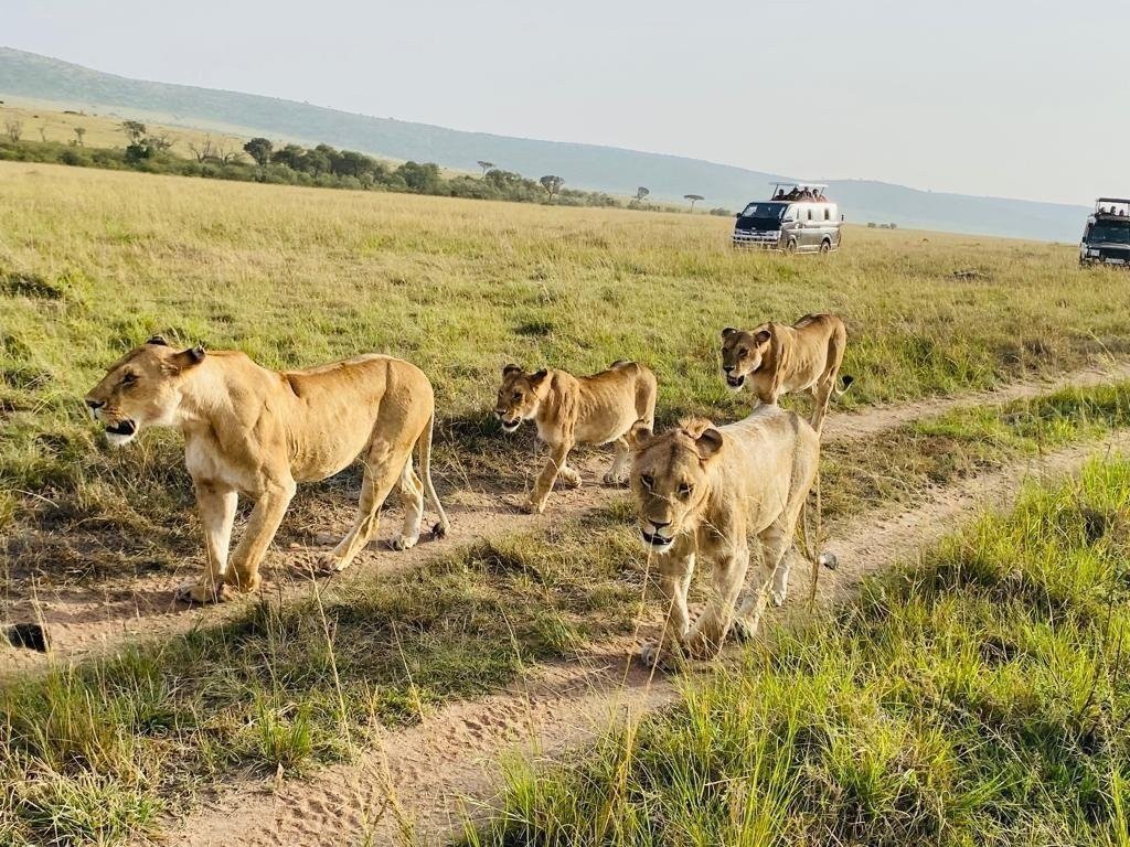 Day 2: Masai Mara National Reserve