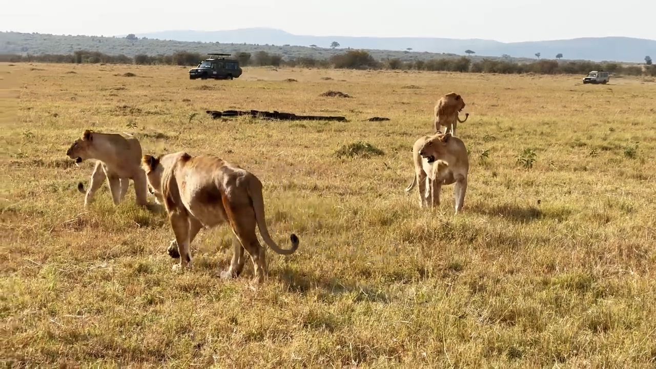 Day 1: Nairobi to Masai Mara National Reserve
