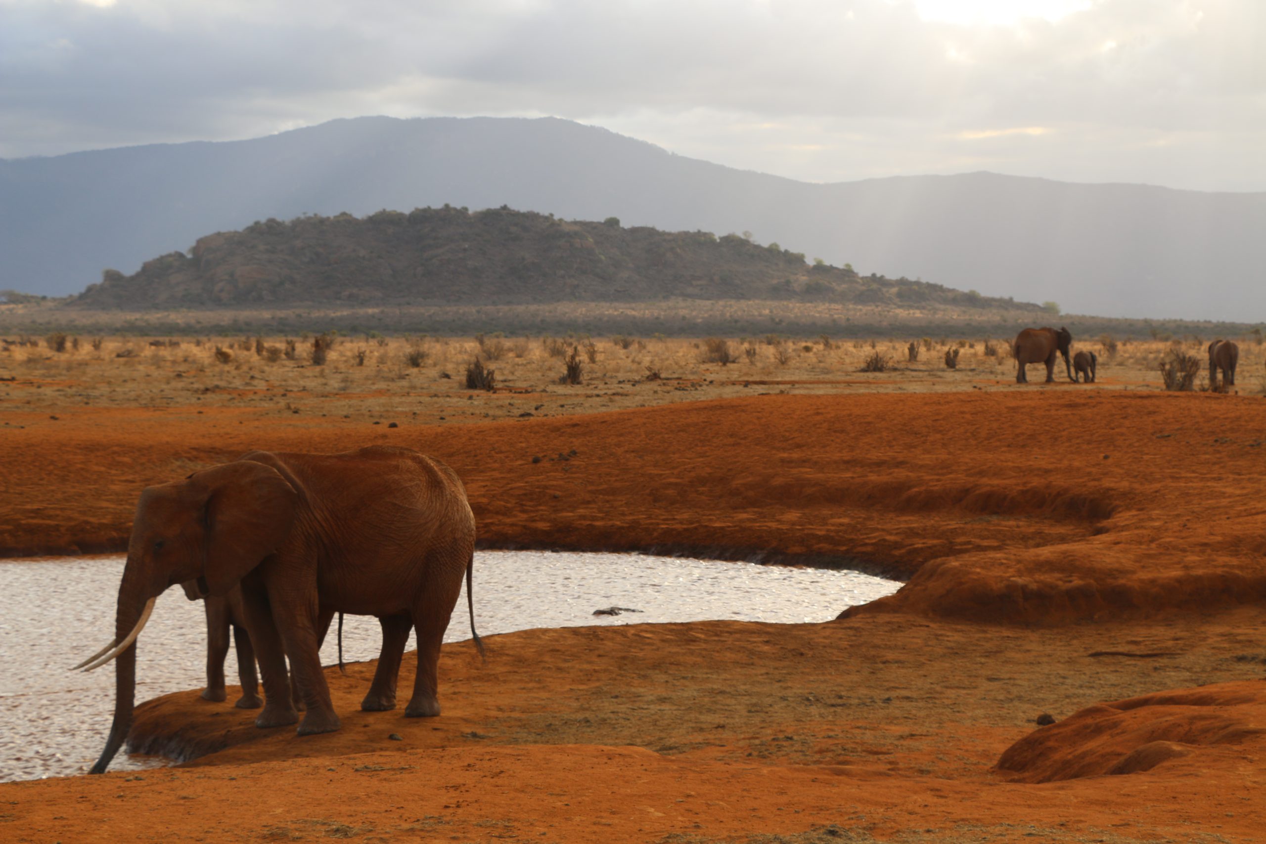 Day 5: Amboseli to Tsavo West National Park