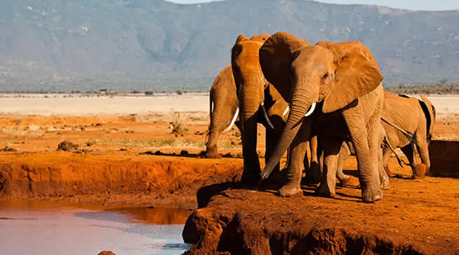 Day 6: Tsavo West to Tsavo East National Park