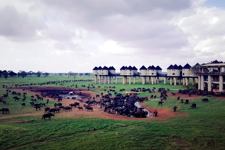 Day 2: Tsavo East National Park to Taita Hills Game Sanctuary