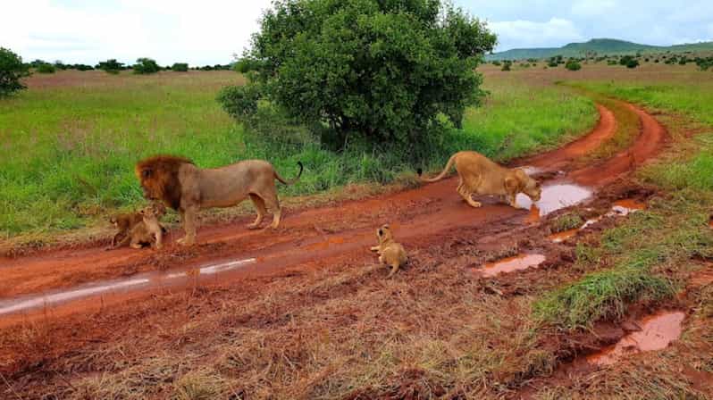 Day 3: Taita Hills Game Sanctuary to Mombasa