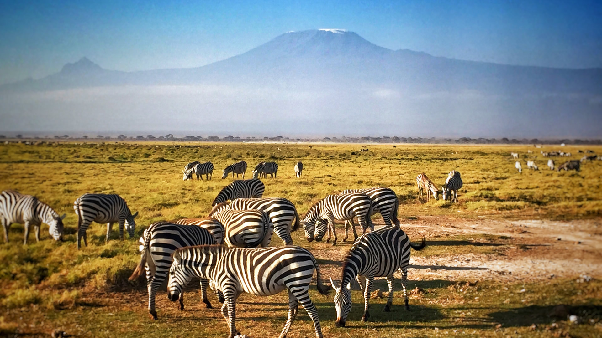Day 2: Full-Day Game Drive in Amboseli National Park
