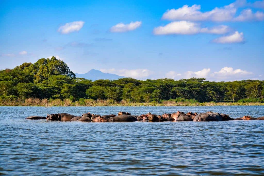 Day 4: Lake Nakuru to Lake Naivasha