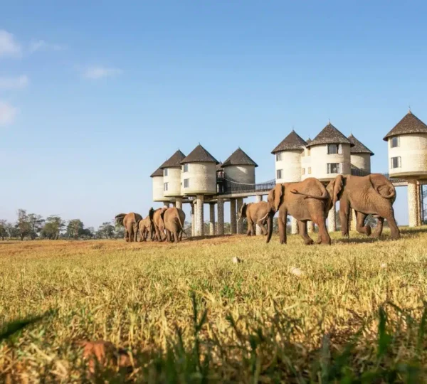 Day 2: Tsavo East National Park to Taita Hills Game Sanctuary