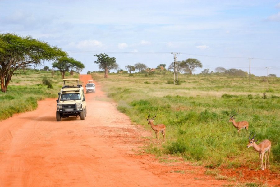Day 3: Tsavo East National Park to Mombasa