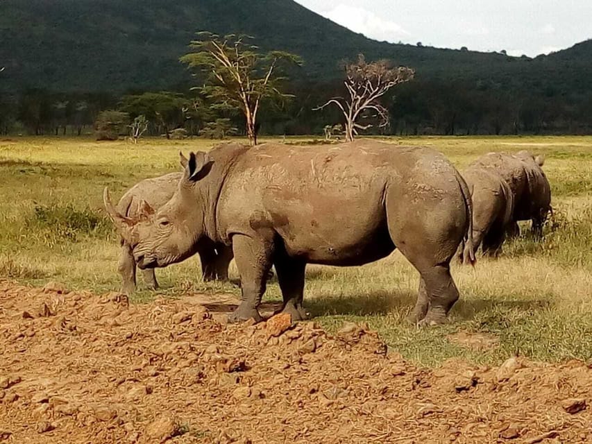 Day 1: Nairobi to Aberdare National Park