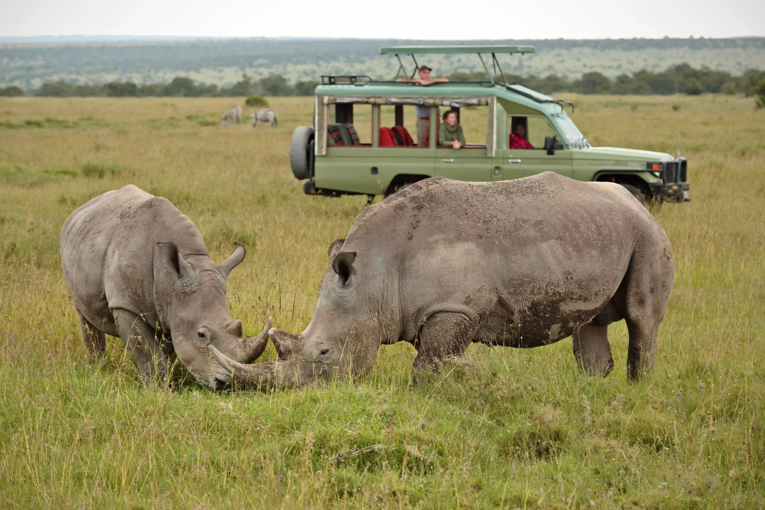 Day 3: Samburu National Reserve to Ol Pejeta Conservancy