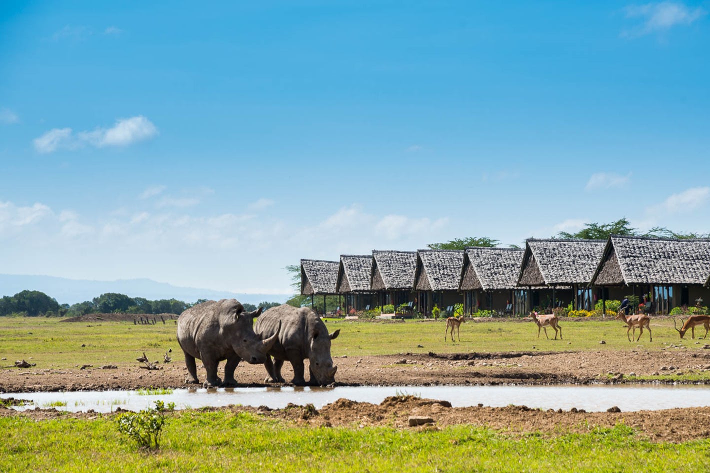 Day 4: Ol Pejeta Conservancy to Lake Nakuru National Park