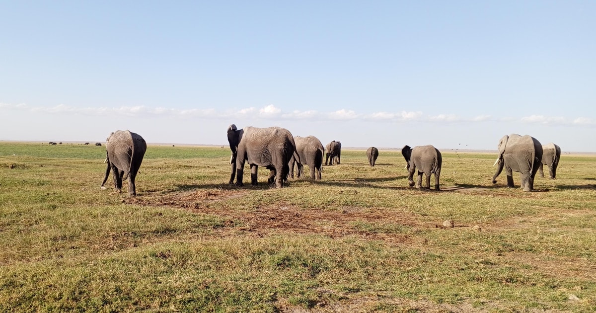 Day 9: Full-Day Exploration of Amboseli National Park
