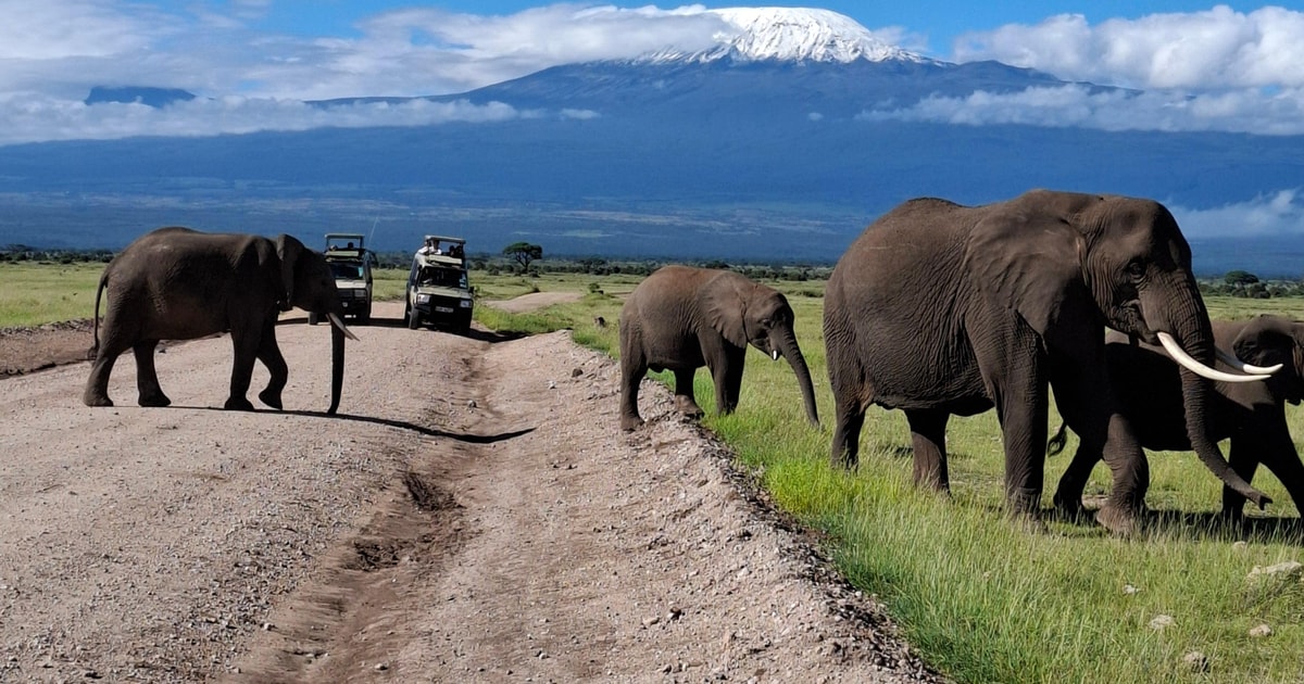 Day 10: Amboseli National Park to Nairobi