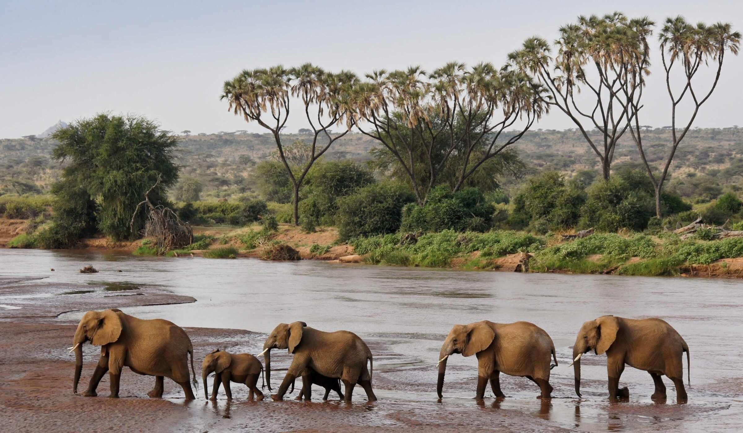 Day 1: Nairobi to Samburu National Reserve