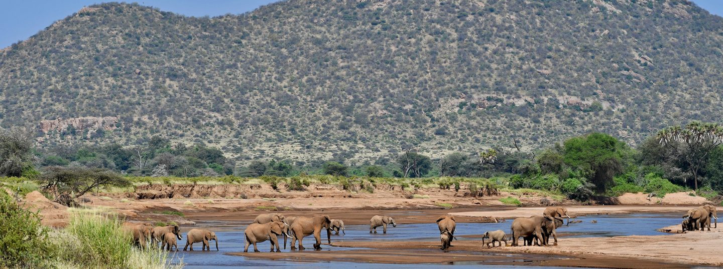 Day 3: Samburu National Reserve to Nairobi