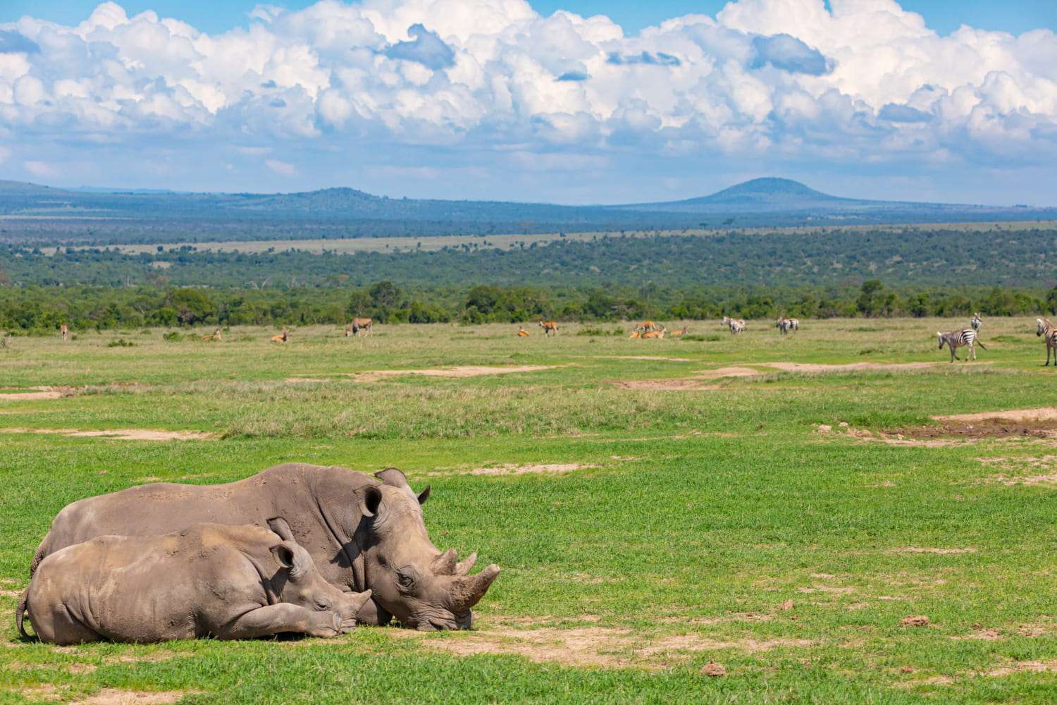 Day 5: Aberdare National Park to Ol Pejeta Conservancy