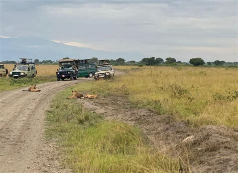 Day 1: Nairobi to Masai Mara National Reserve