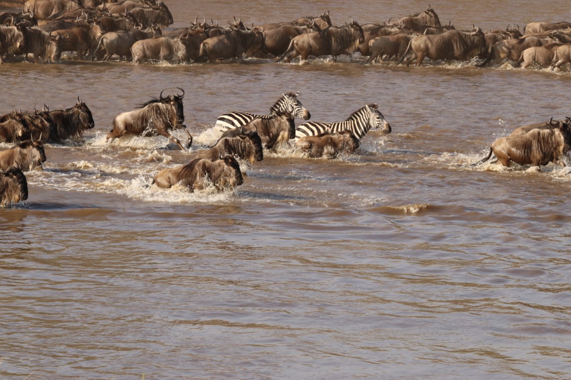Day 3: Masai Mara National Reserve to Serengeti National Park