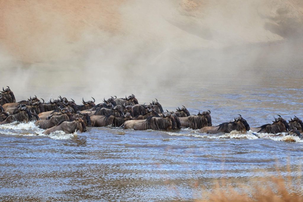 Day 5: Second Day in Serengeti National Park