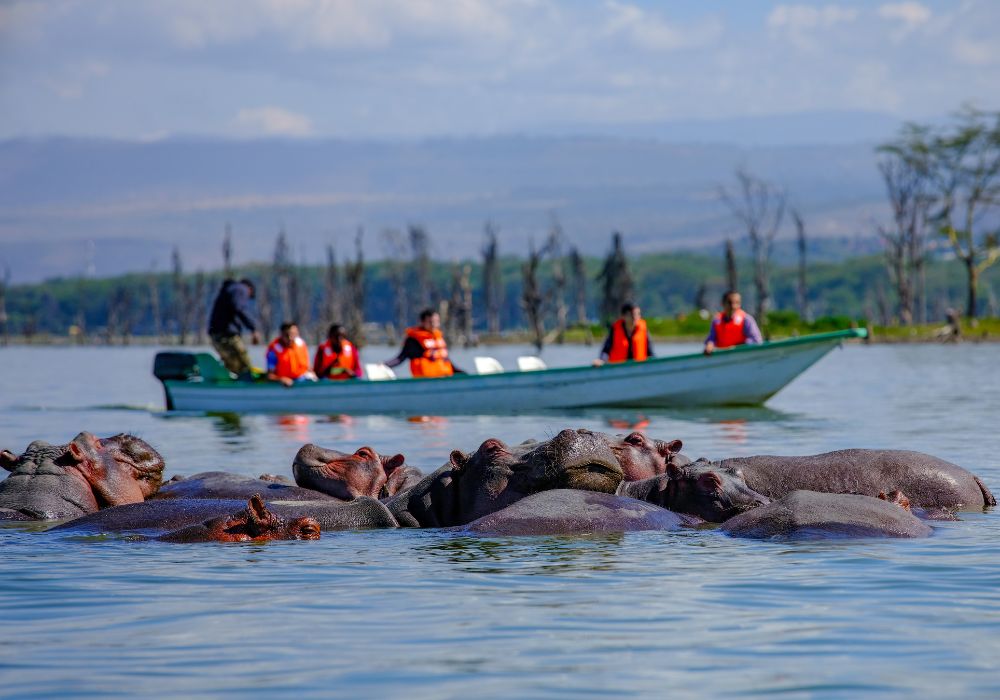 Day 2: Lake Naivasha and Hell's Gate National Park Adventure