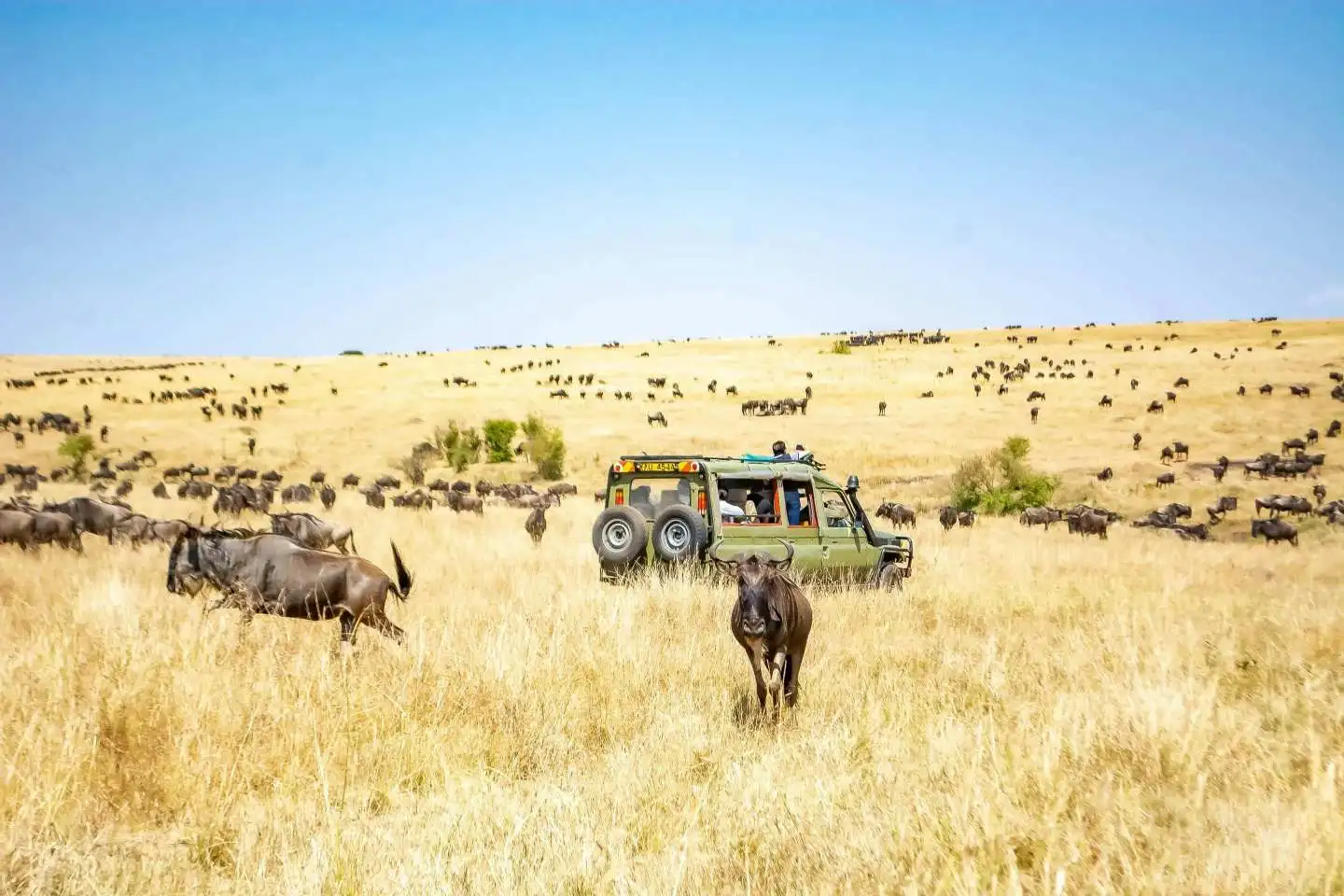Day 1: Nairobi to Masai Mara National Reserve