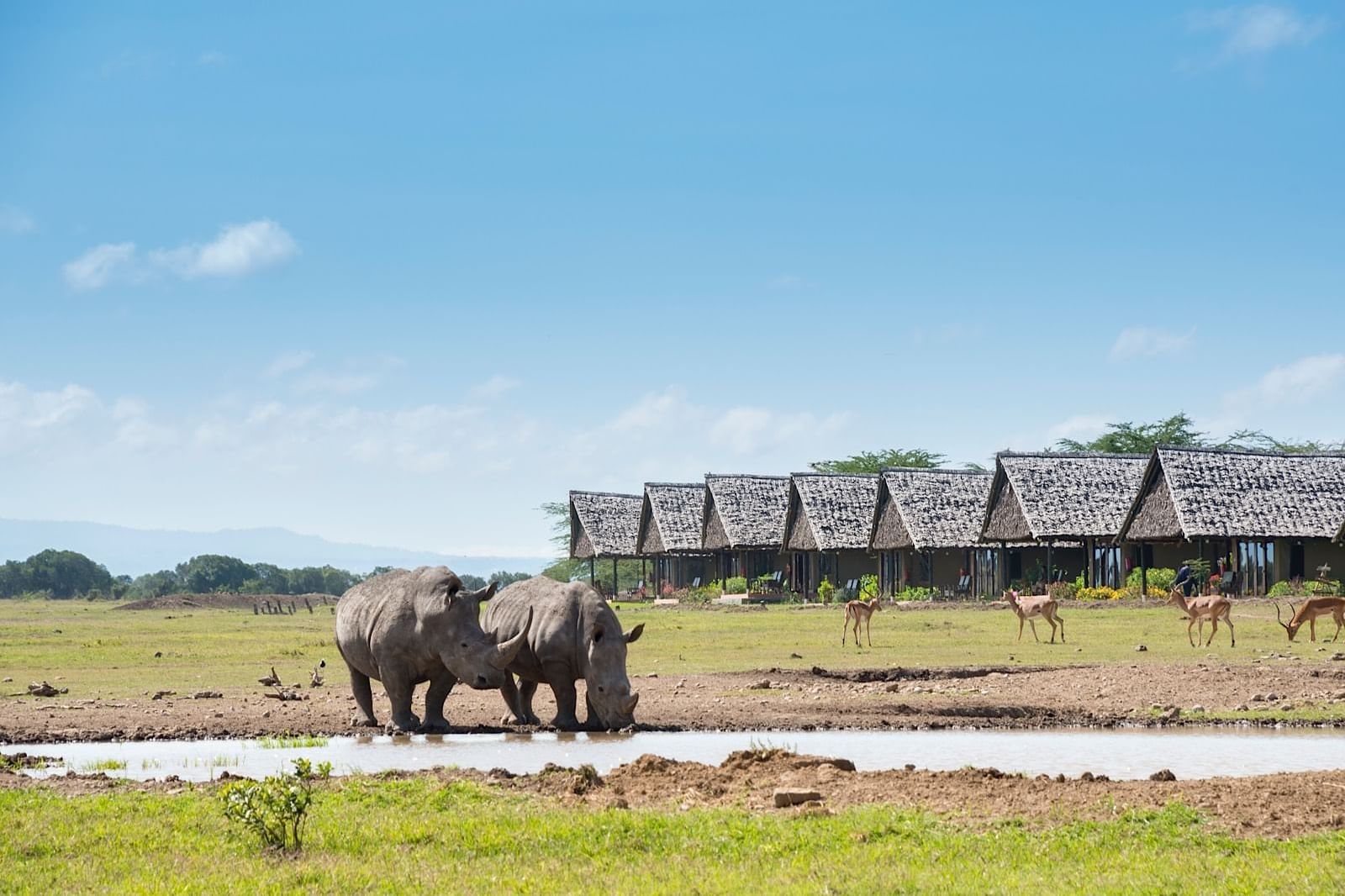 Day 5: Samburu National Reserve to Sweetwaters Conservancy