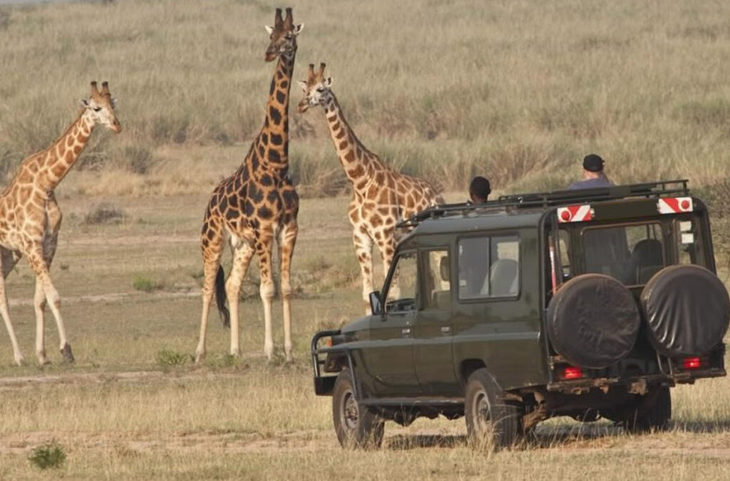 Day 2: Game Drives in Akagera National Park and Back to Kigali