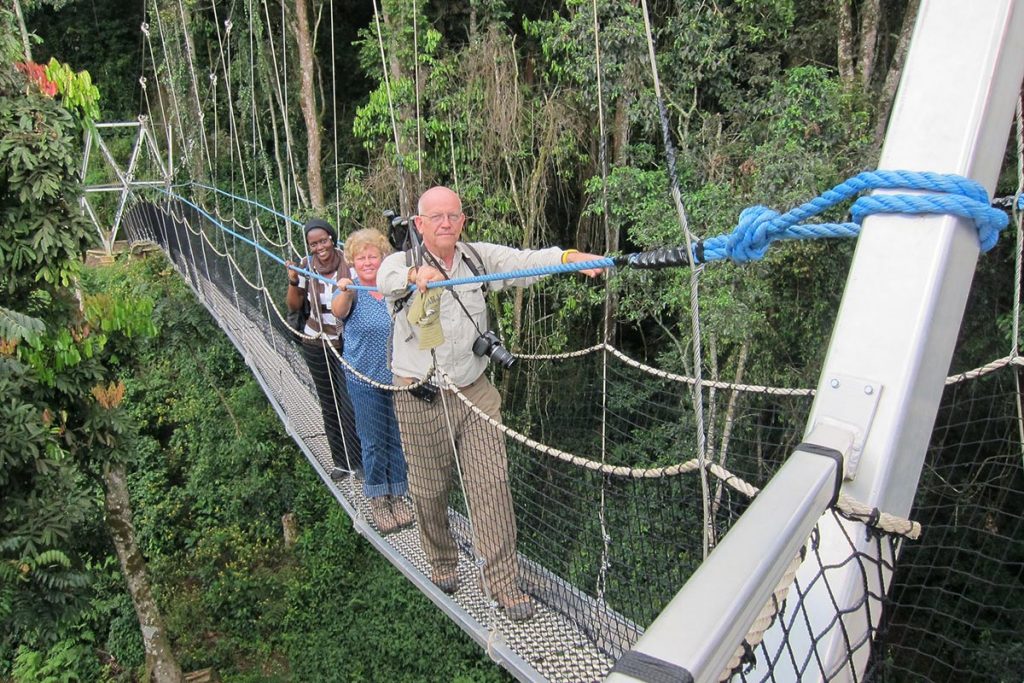 Day 3: Early Pick up from Kigali, Transfer to Nyungwe and Canopy Walk Adventure