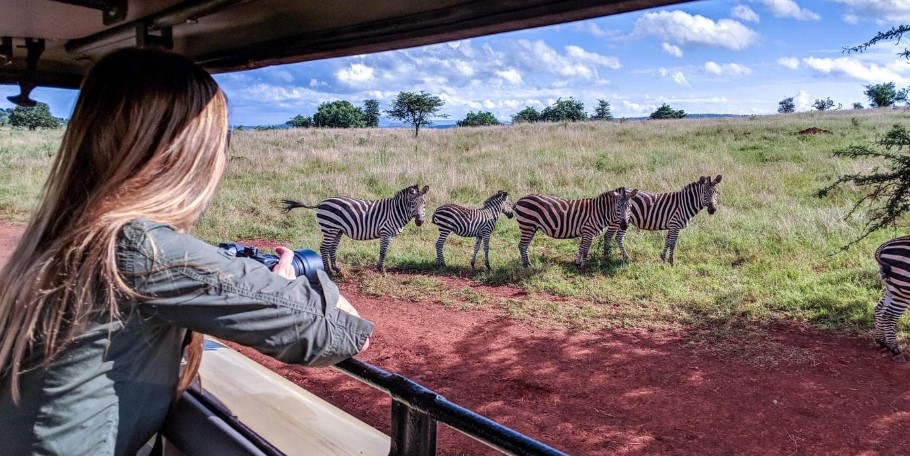 Day 2: Game Drive in Akagera National Park, Transfer to Volcanoes
