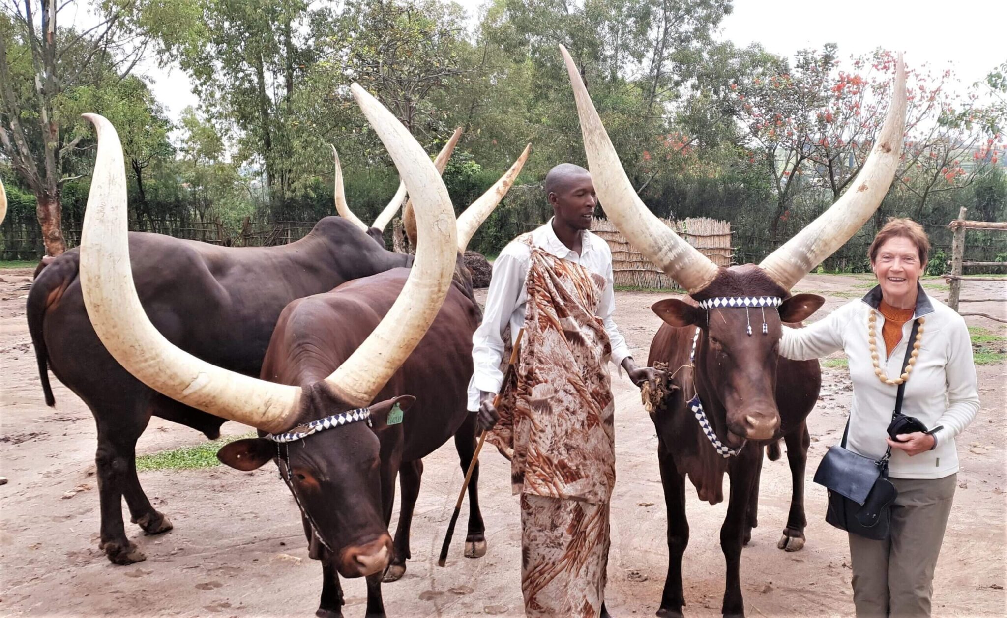 Day 2: Explore Rwanda Culture and King's Palace