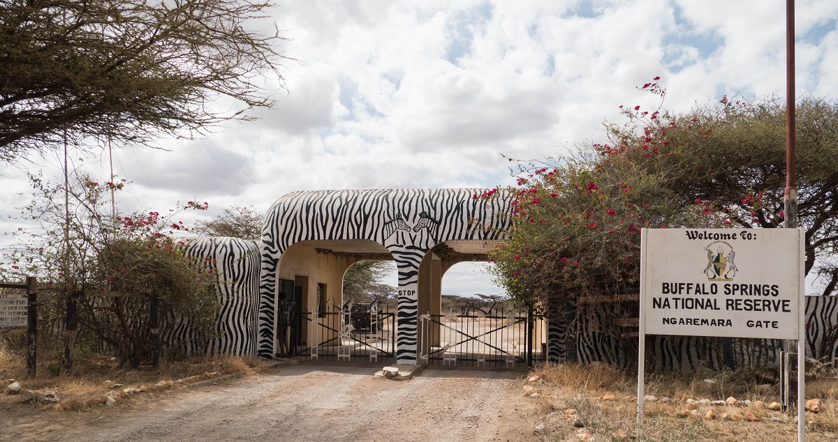 Day 1: Nairobi to Buffalo Springs National Reserve