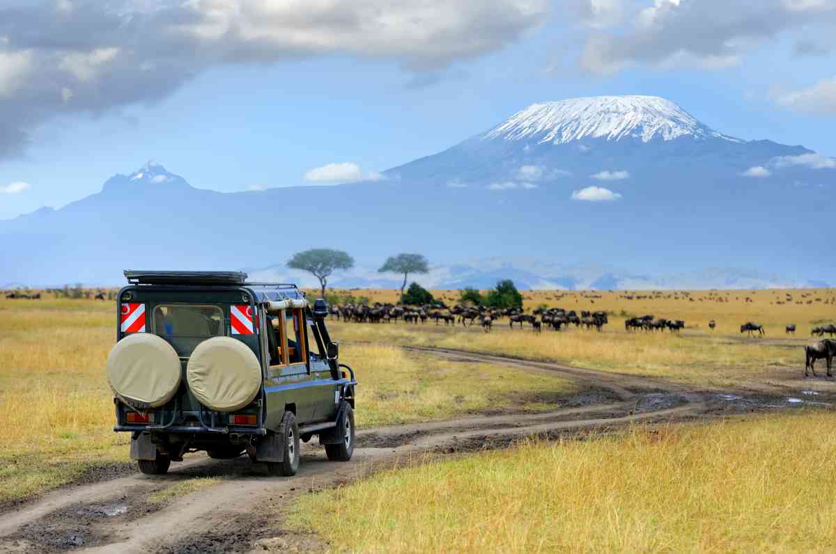 Day 9: : Explore Amboseli National Park