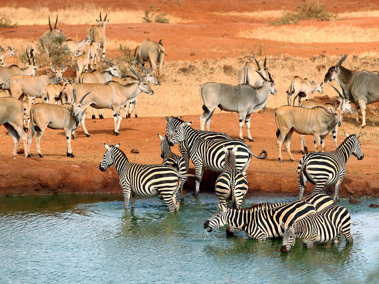 Tsavo West National Park to Tsavo East National Park