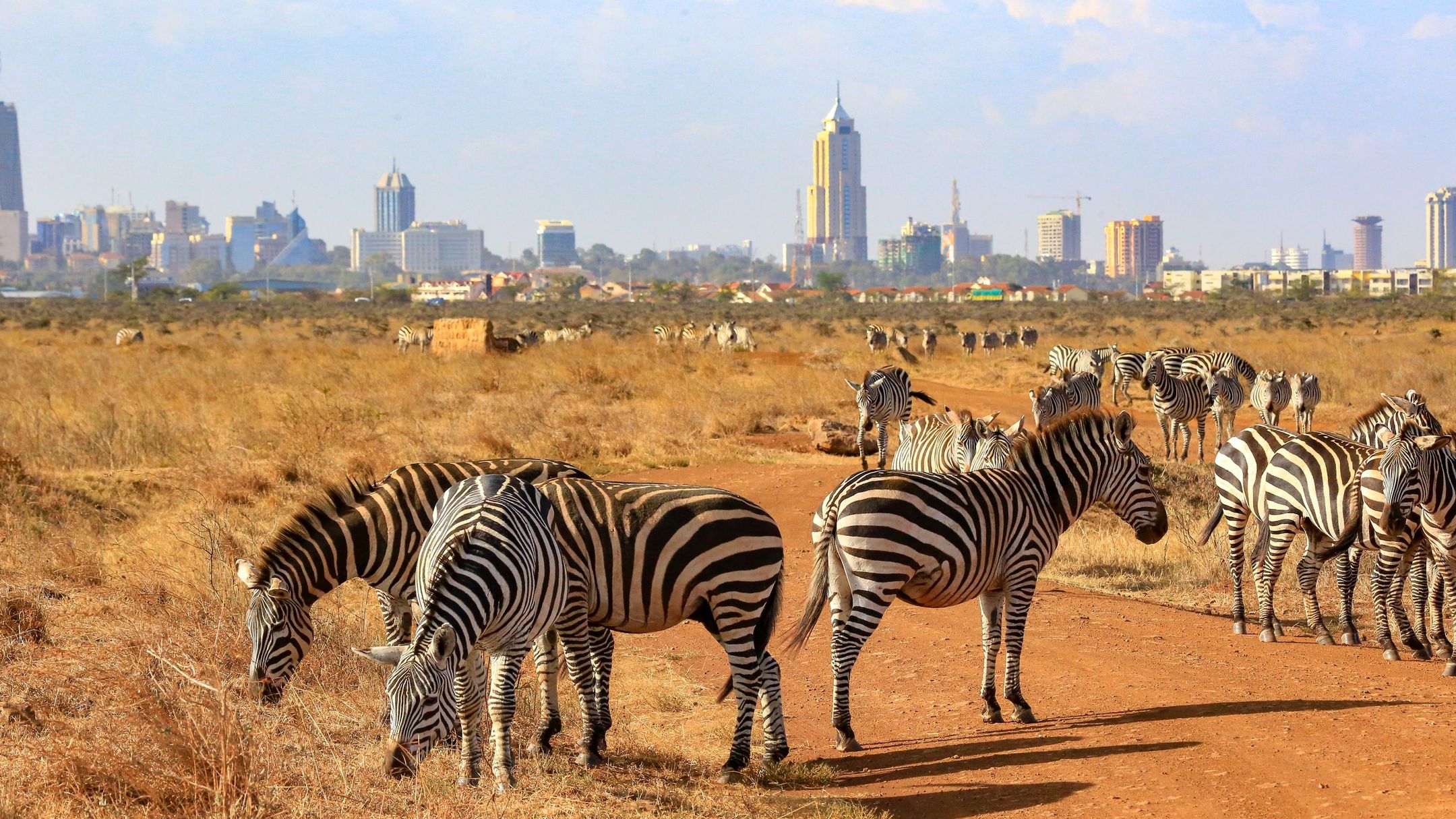 Day 2: Nairobi National Park, Elephant Orphanage, Giraffe Centre and Nairobi National Museum