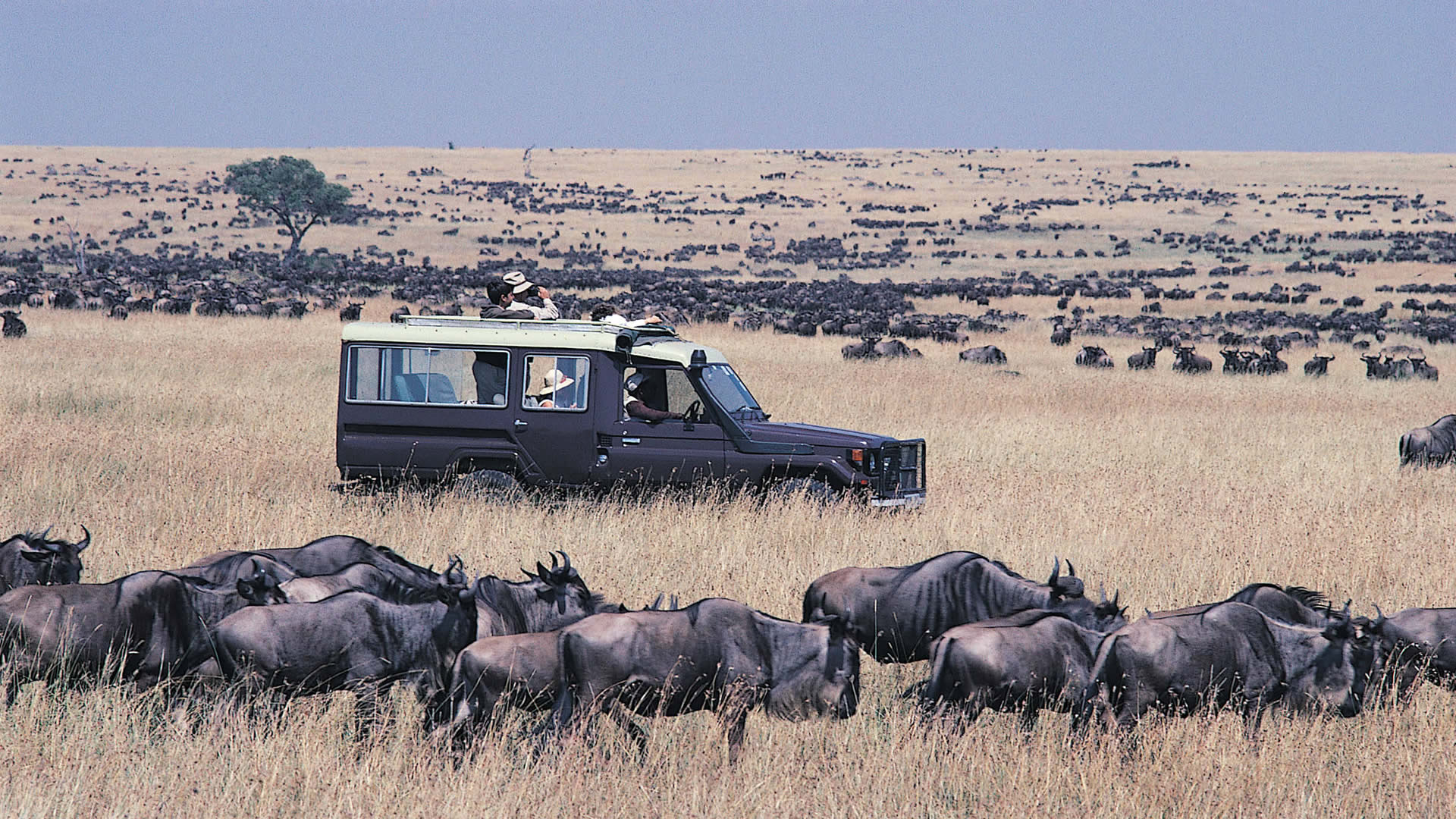 Day 5: Masai Mara to Northern Serengeti National Park via Isebania Border