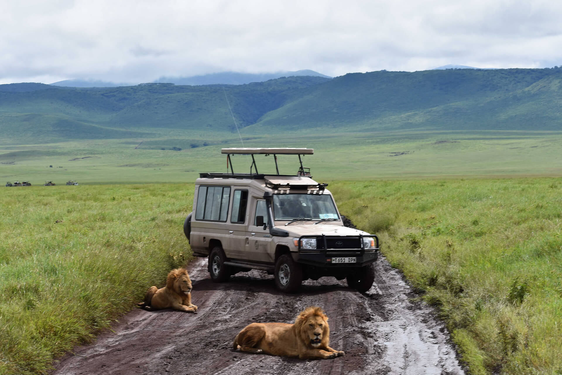 Day 9: Central Serengeti to Ngorongoro Crater