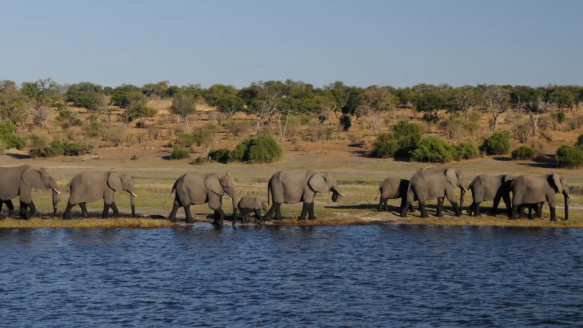 Day 10: Ngorongoro Crater to Tarangire National Park