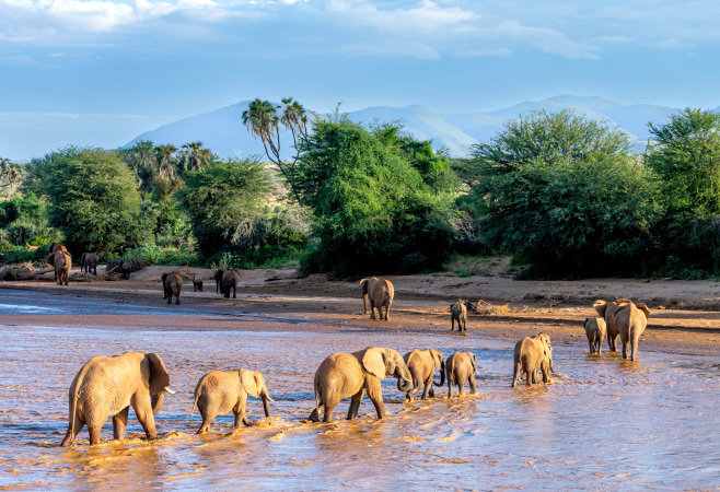 Day 3: Ol Pejeta Conservancy to Samburu National Reserve